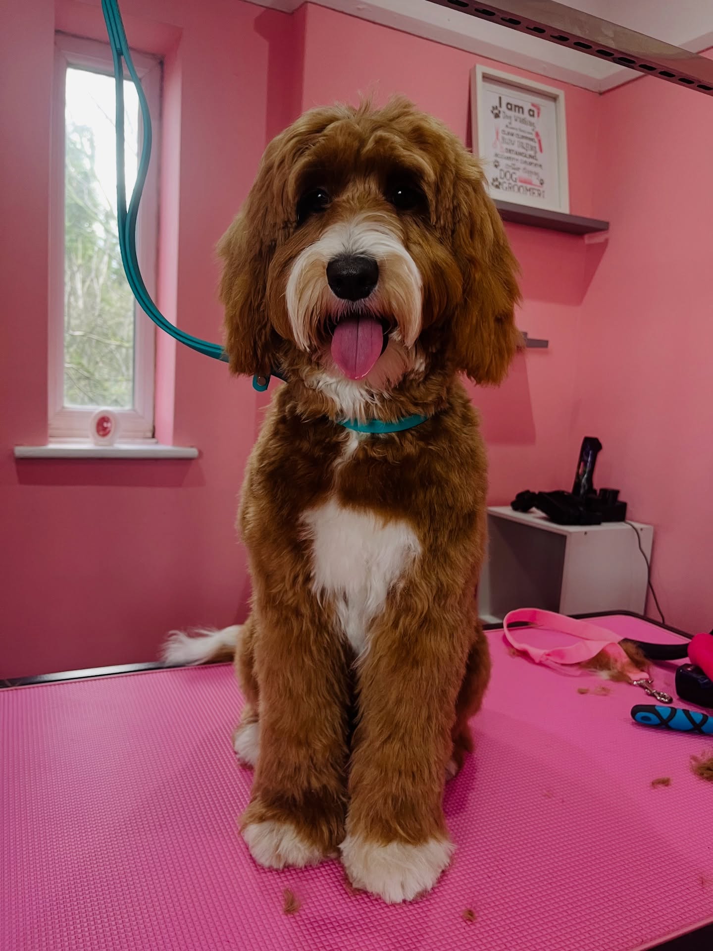 Rua after a full groom at Sam's Scrub Club, Liverpool